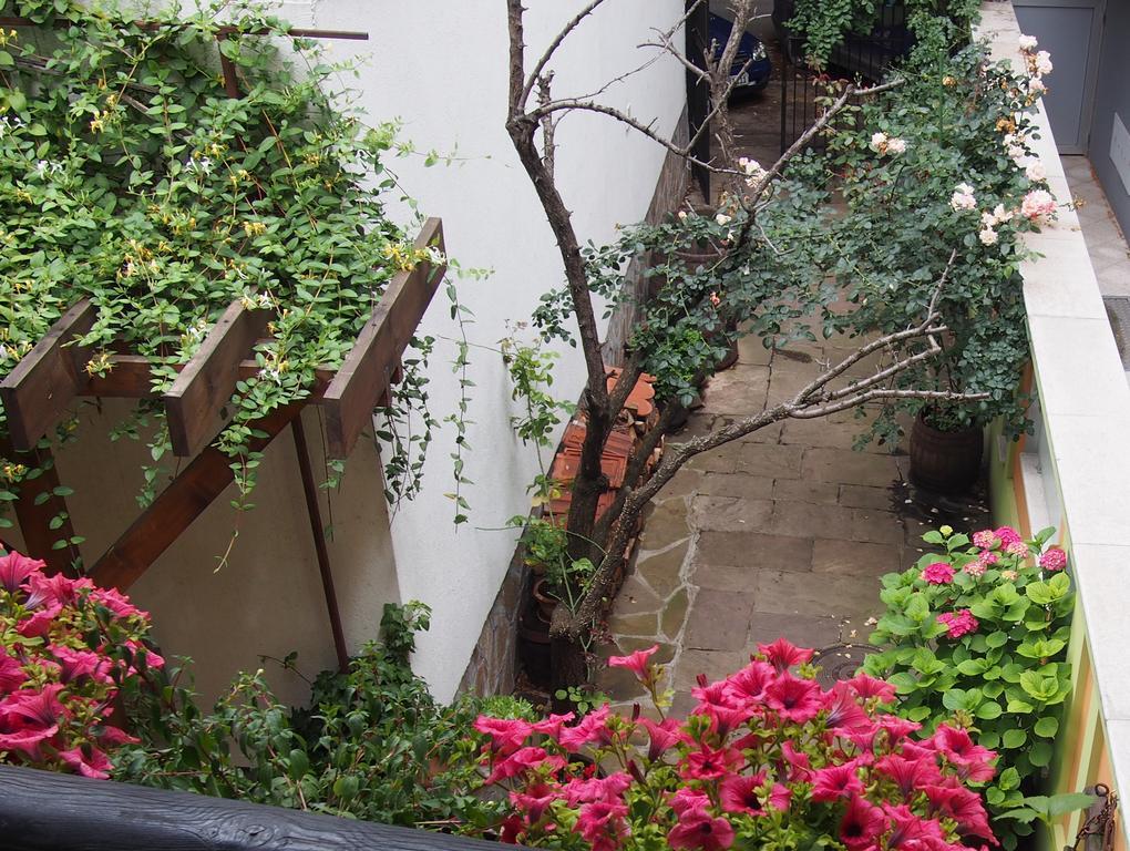 Guest Accommodation Etno Konak Tasana Nis Exterior photo