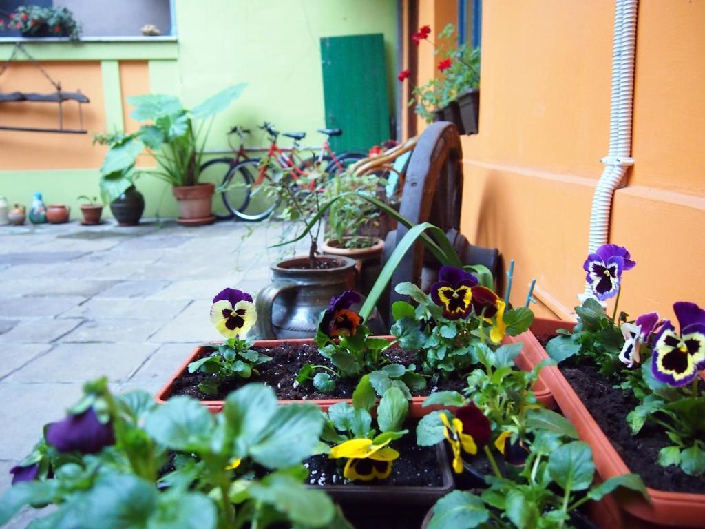 Guest Accommodation Etno Konak Tasana Nis Exterior photo